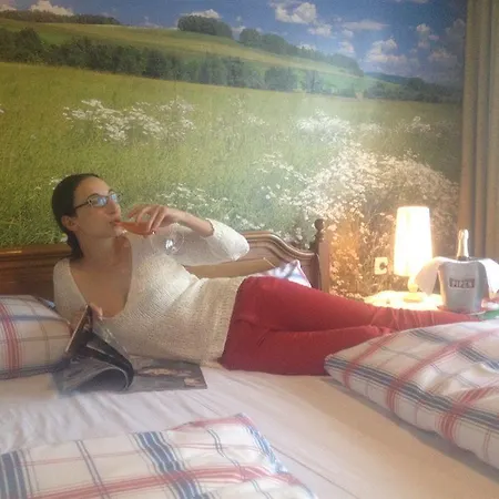 בית הארחה Antjes Schmankerlhotel Und Restaurant Tröstau