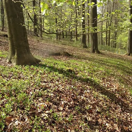 Gæstehus Antjes Schmankerlhotel Und Restaurant 3*