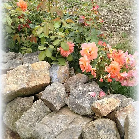 Antjes Schmankerlhotel Und Restaurant 3* Tröstau